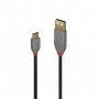 Cablu Lindy 1m USB 2.0 Type A to C