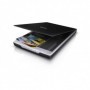EPSON V19 PERFECTION A4 SCANNER