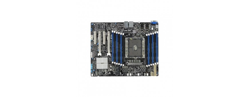 Placi de baza server